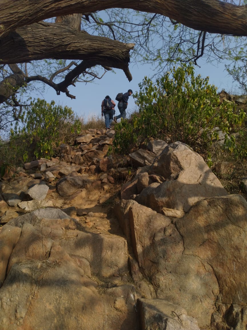 Walking inside Delhi's Sanjay Van.